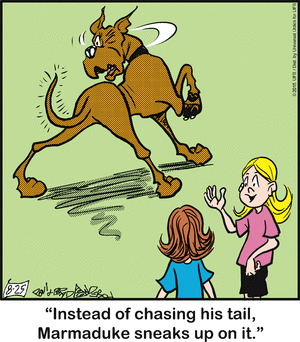 marmaduke